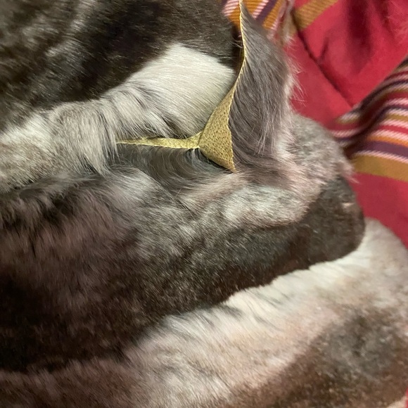 Chinchilla fur empress coat - Picture 10 of 14